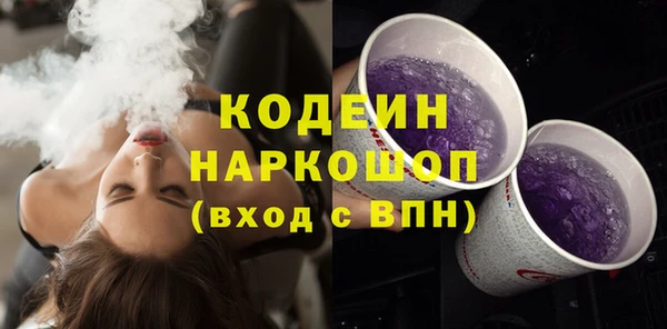 шишки Аркадак