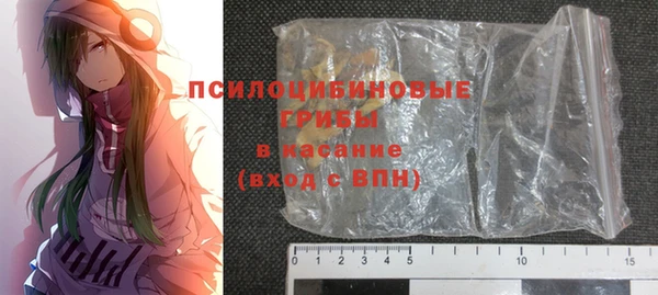 шишки Аркадак