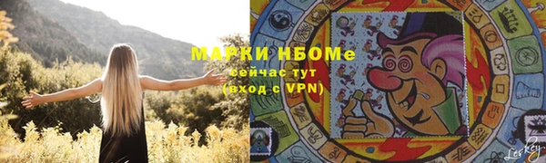 шишки Аркадак