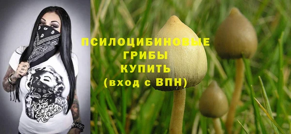 шишки Аркадак