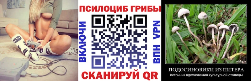 Галлюциногенные грибы Magic Shrooms  Талдом 